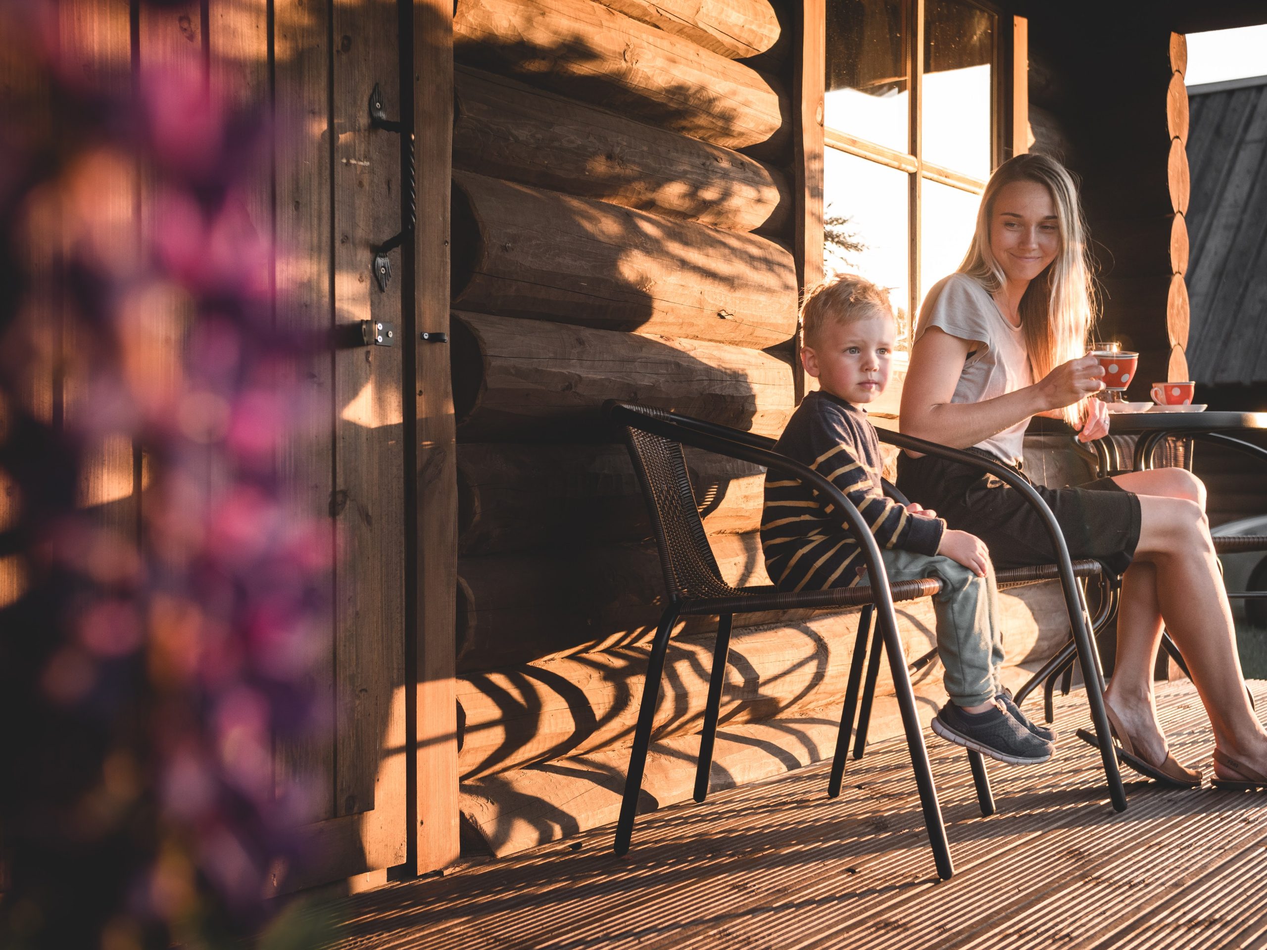 log-house-cottage-metsaluige
