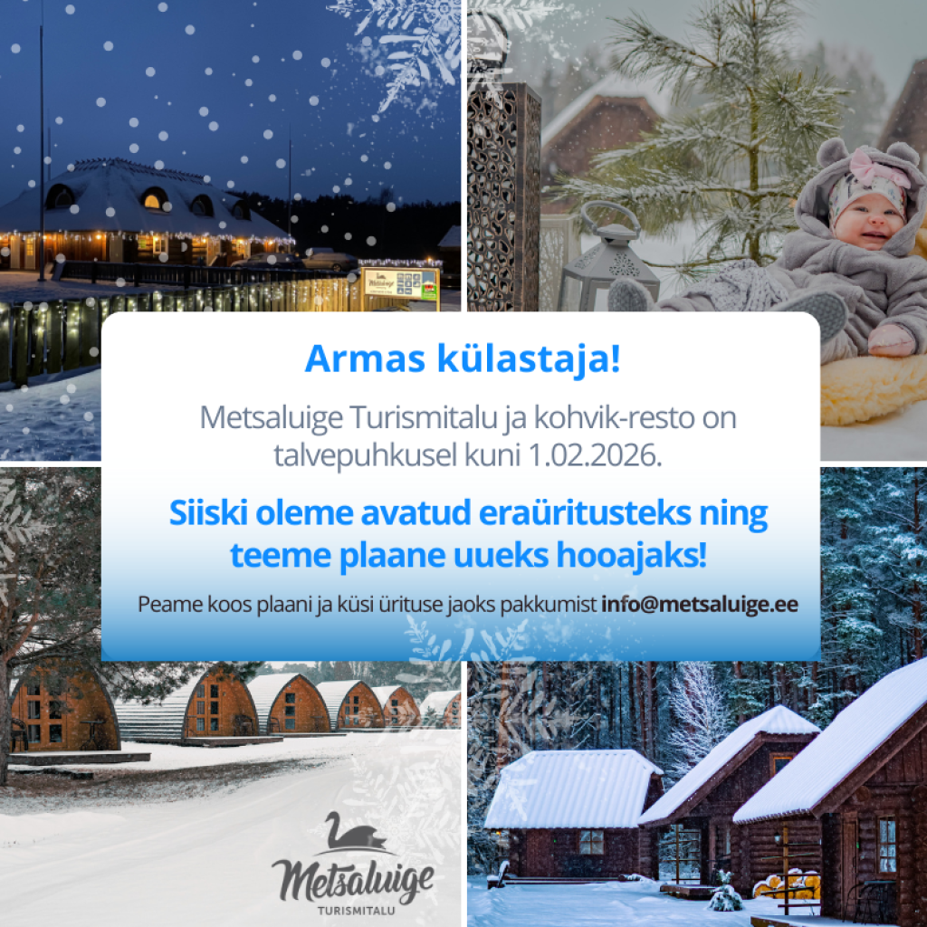 metsaluige turismitalu talvepuhkus