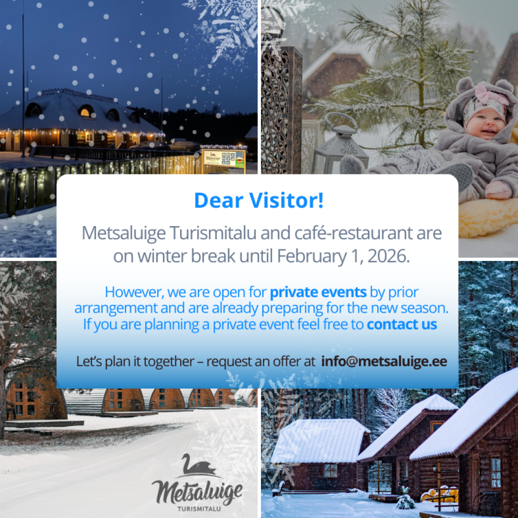 metsaluige turismitalu vacation